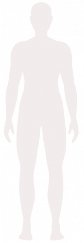 Escuela Masaje Californiano Barcelona, la esencia