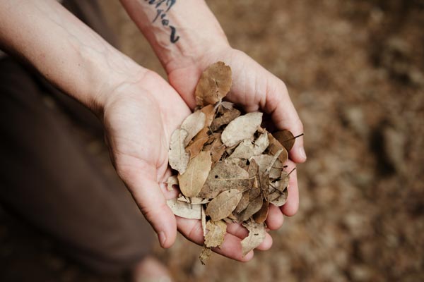 Massage school privacy policy