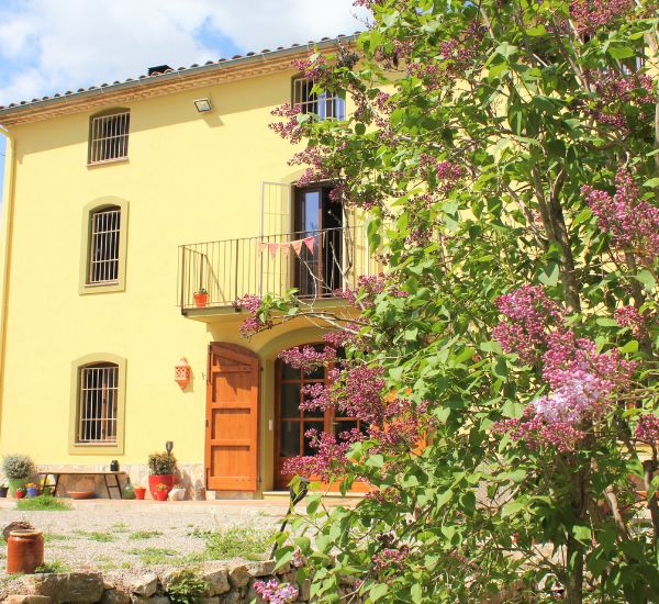 12 masaje californiano curso intensivo de verano 2026